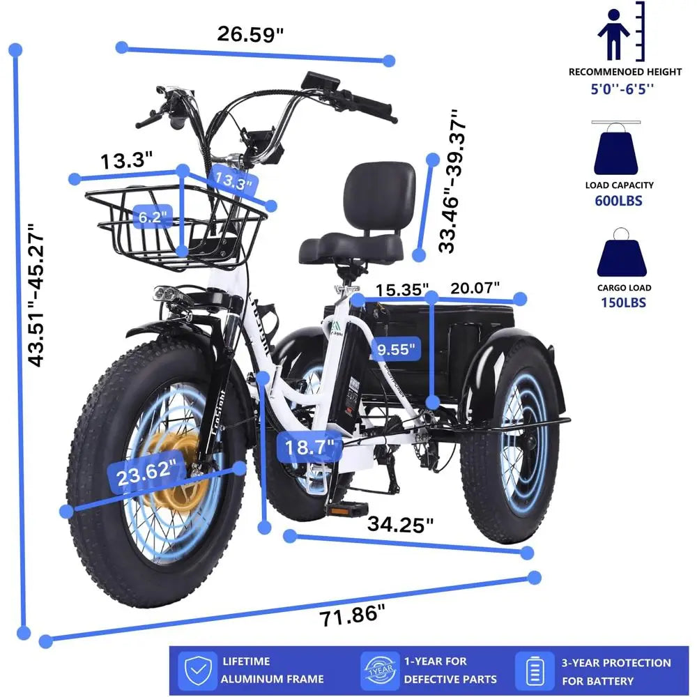2.0 Electric Tricycle or Adults, 20"x4" at Tire olding Electric Trike, 750W 48V 20.8Ah Long-Range Battery, Built-in Speaker, USB