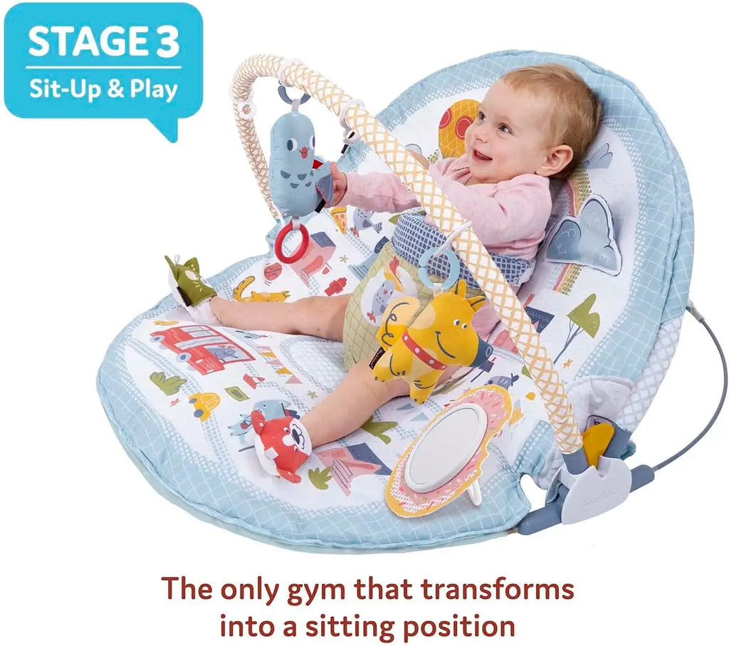 3-in-1 Baby Activity Gym Playmat with Tummy Time Toys & Mirror for Newborns 0-12 Months